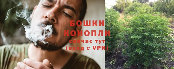 apvp Краснослободск