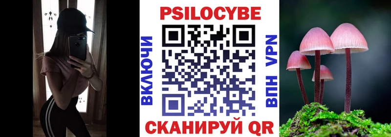 Купить где  Баксан  Галлюциногенные грибы MAGIC MUSHROOMS 
